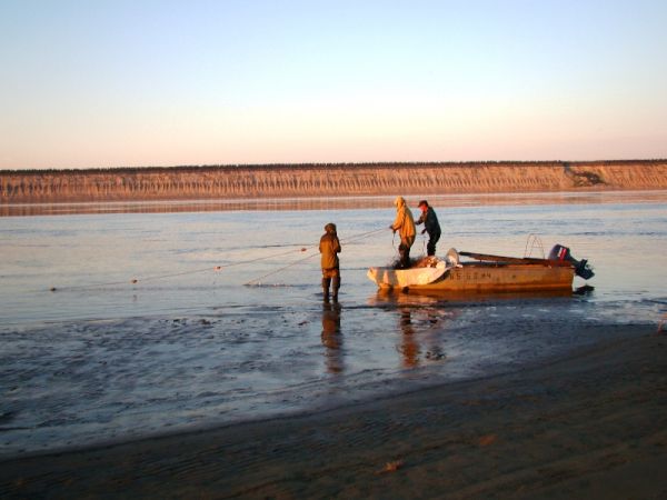 Рыбалка на притоках Лены