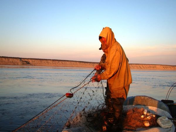 Рыбалка на притоках Лены