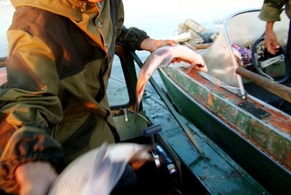 Рыбалка на притоках Лены