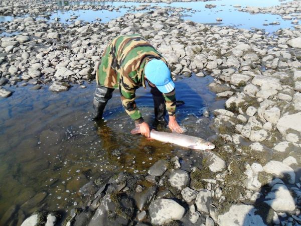 Рыбалка на притоках Лены