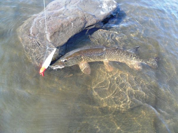 Рыбалка на притоках Лены