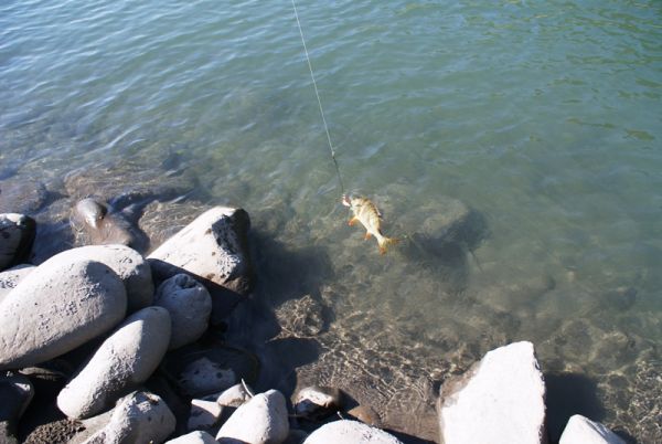 Рыбалка на притоках Лены