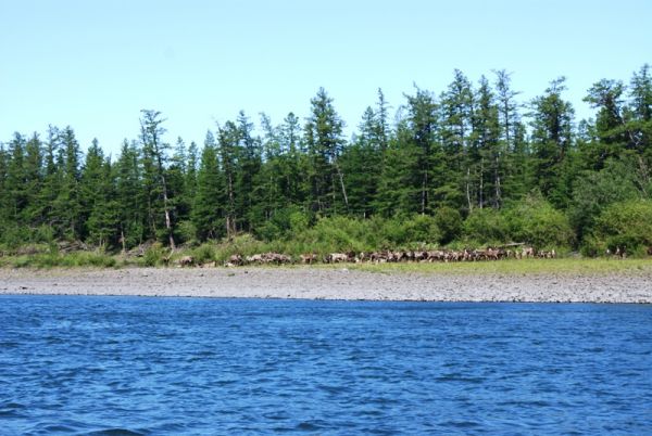 Рыбалка на притоках Лены