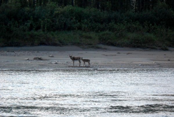 Рыбалка на притоках Лены