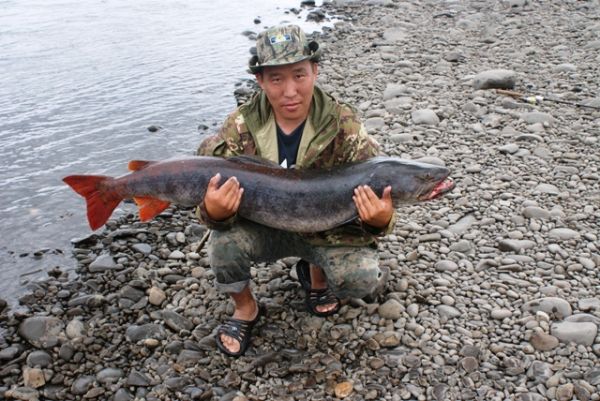 Рыбалка на притоках Лены