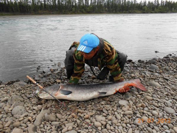 Рыбалка на притоках Лены