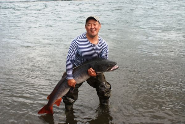 Рыбалка на притоках Лены