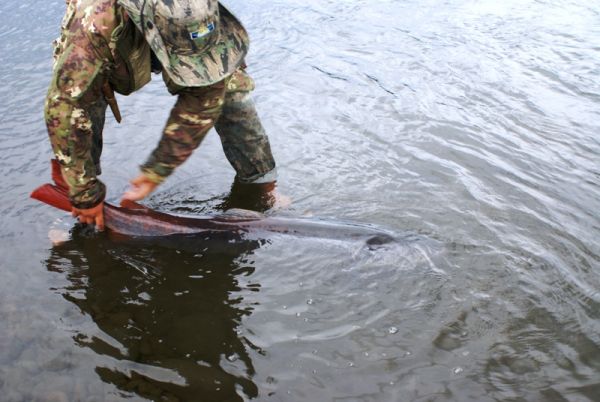 Рыбалка на притоках Лены
