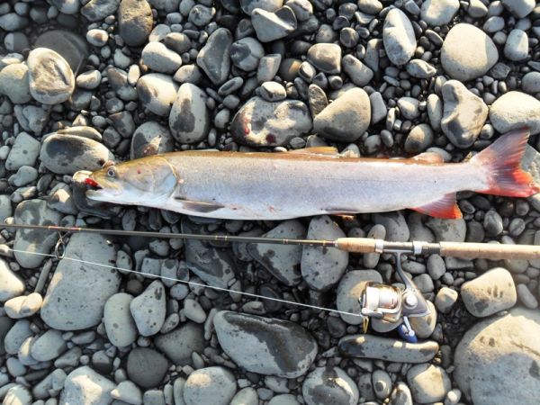 Рыбалка на притоках Лены