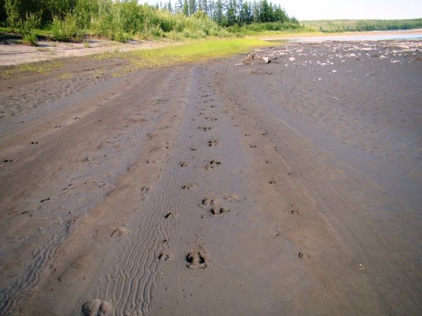 Рыбалка на притоках Лены