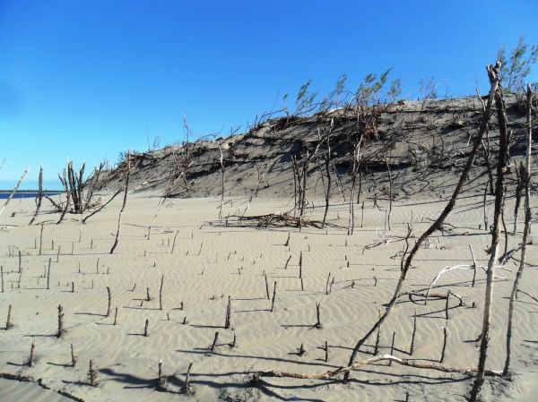 Рыбалка на притоках Лены