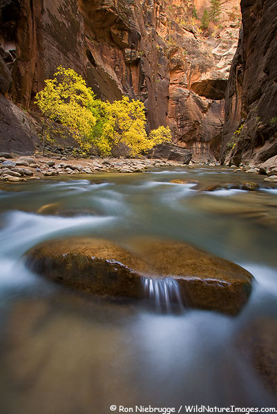 Национальный парк Зайон в штате Юта