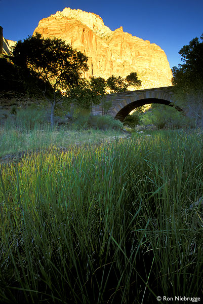 Национальный парк Зайон в штате Юта