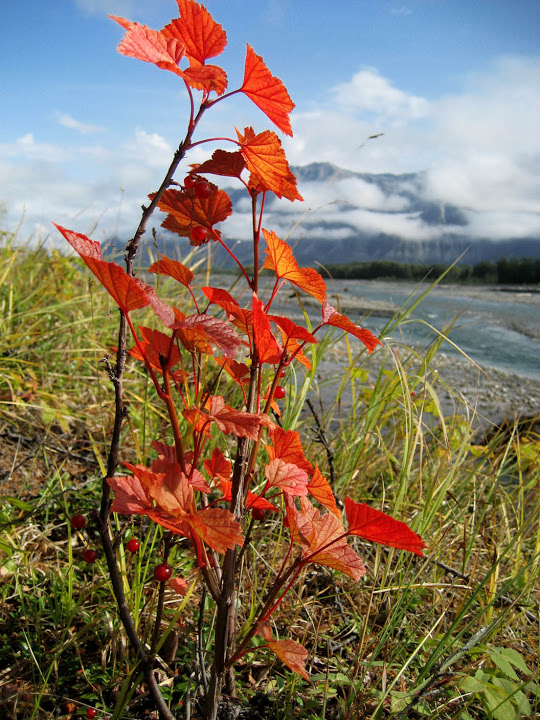 Хребет Сунтар-Хаята