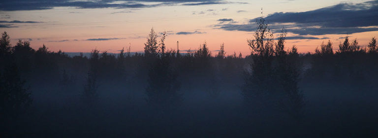 Нежданинское — третья жизнь