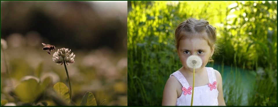 объектив Кэнон