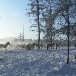 Oymyakon winter 24