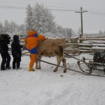 Oymyakon winter 9