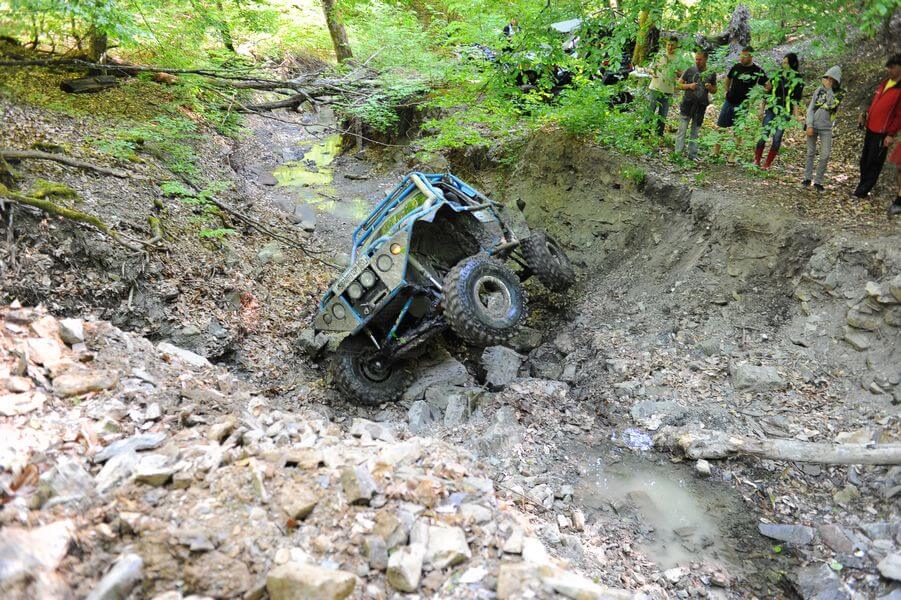 Папай Трофи 2013