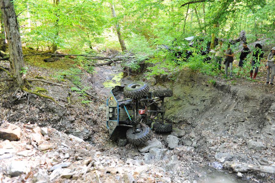 Папай Трофи 2013