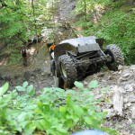 Папай Трофи 2013