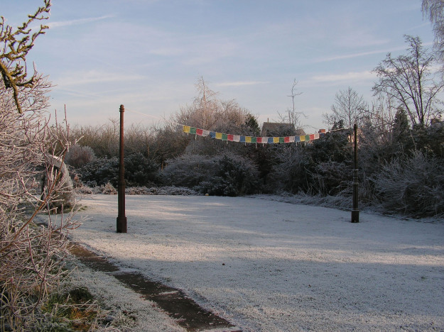 Политика и спорт