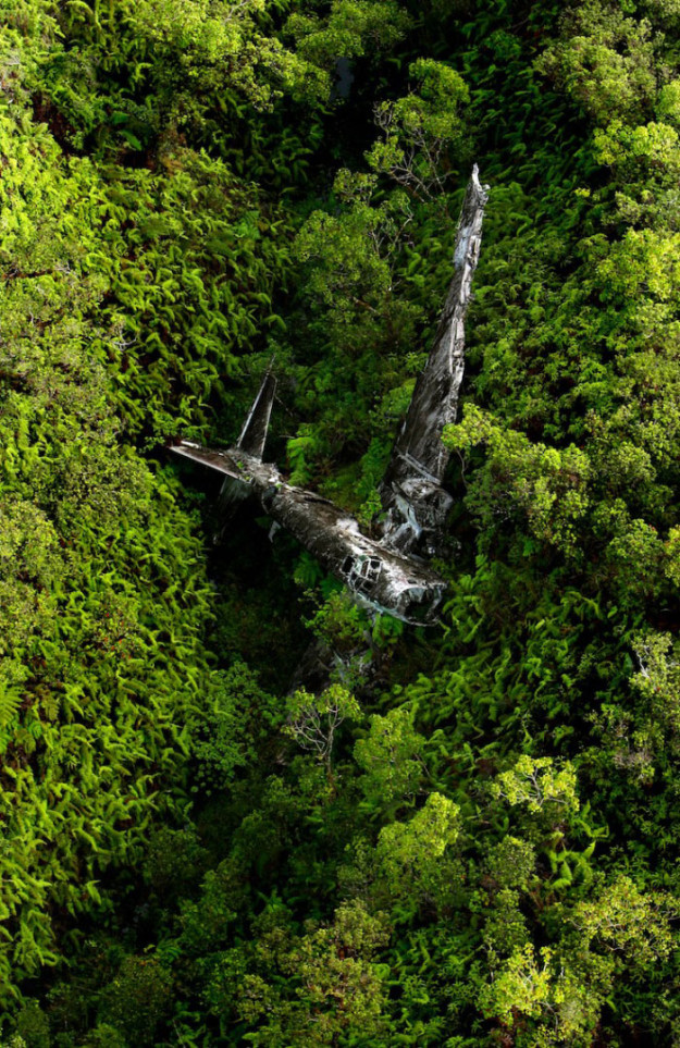 упавший в джунглях самолет