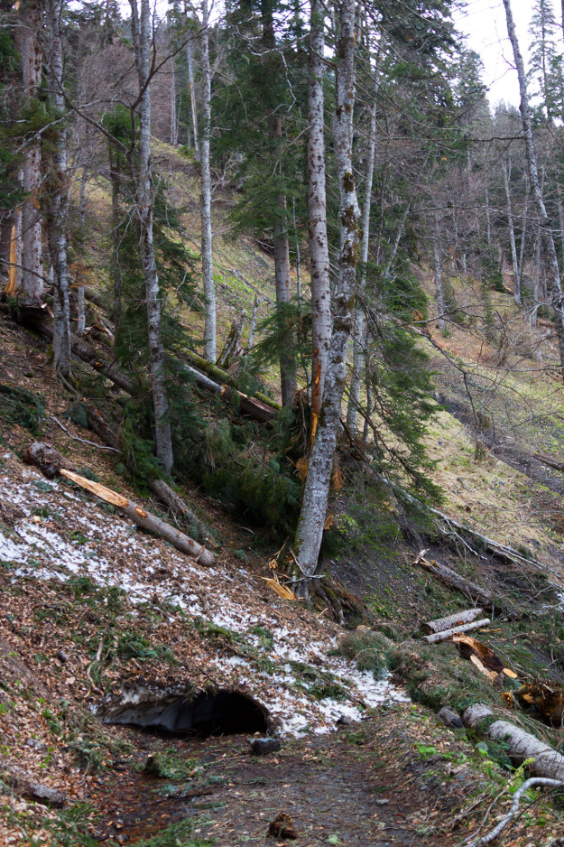 у перевала Аишхо