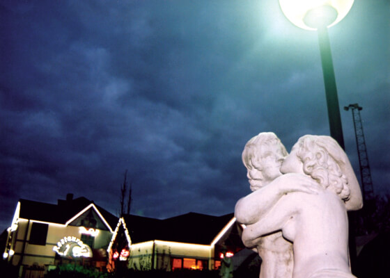 Лариса Керкленд — Предложение