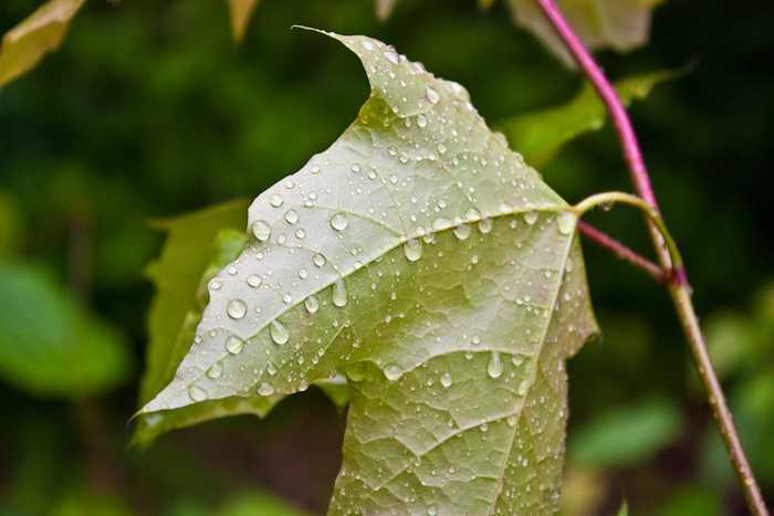 автопутешествие по донской земле