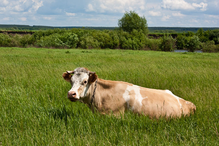 автопутешествие по донской земле