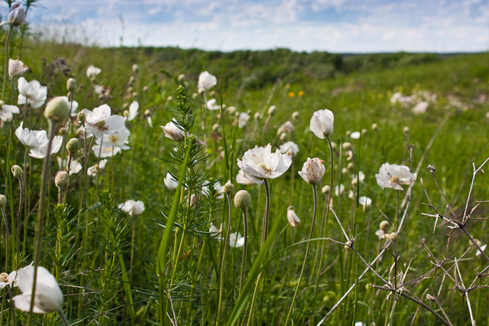 автопутешествие по донской земле