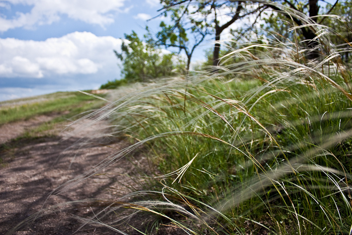 автопутешествие по донской земле