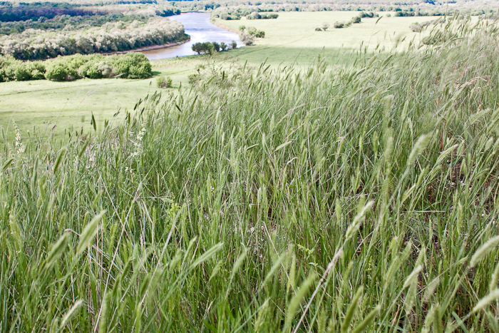 автопутешествие по донской земле
