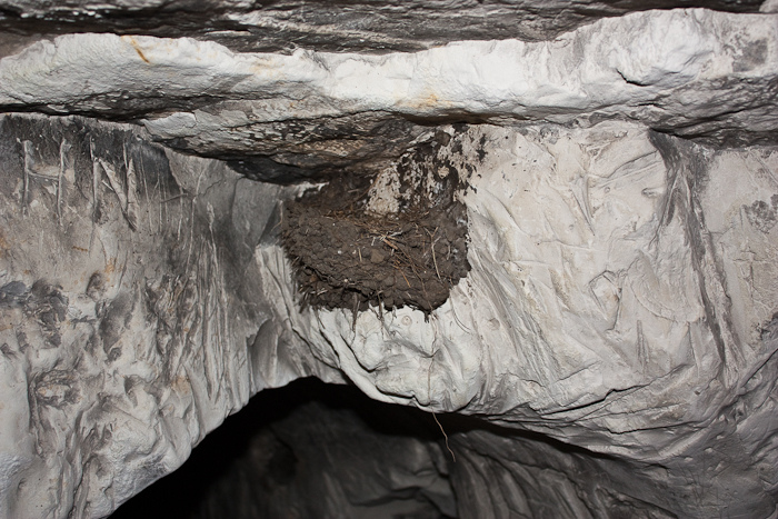 автопутешествие по донской земле