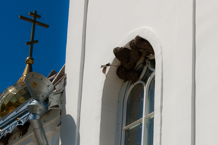 автопутешествие по донской земле