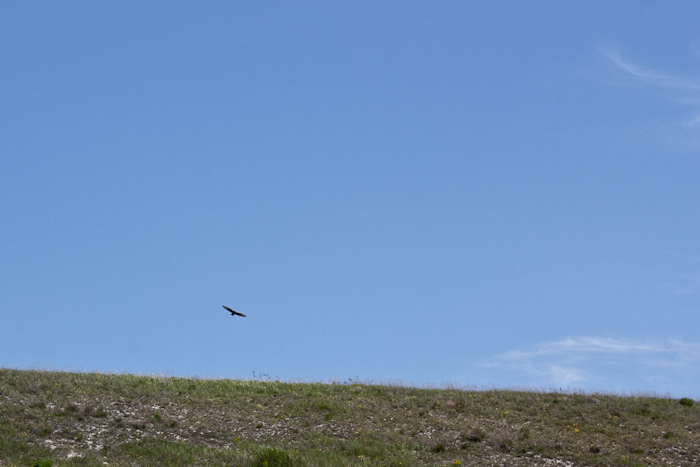 автопутешествие по донской земле
