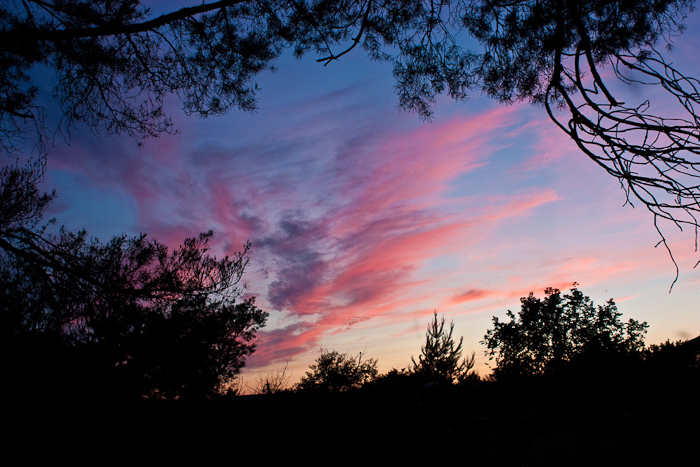 автопутешествие по донской земле