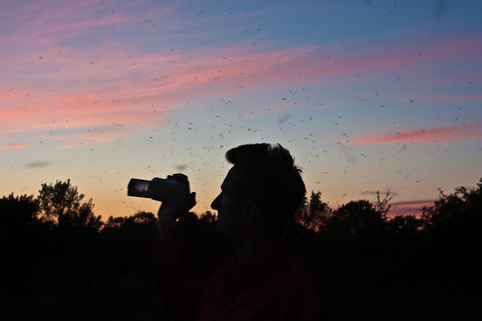 автопутешествие по донской земле