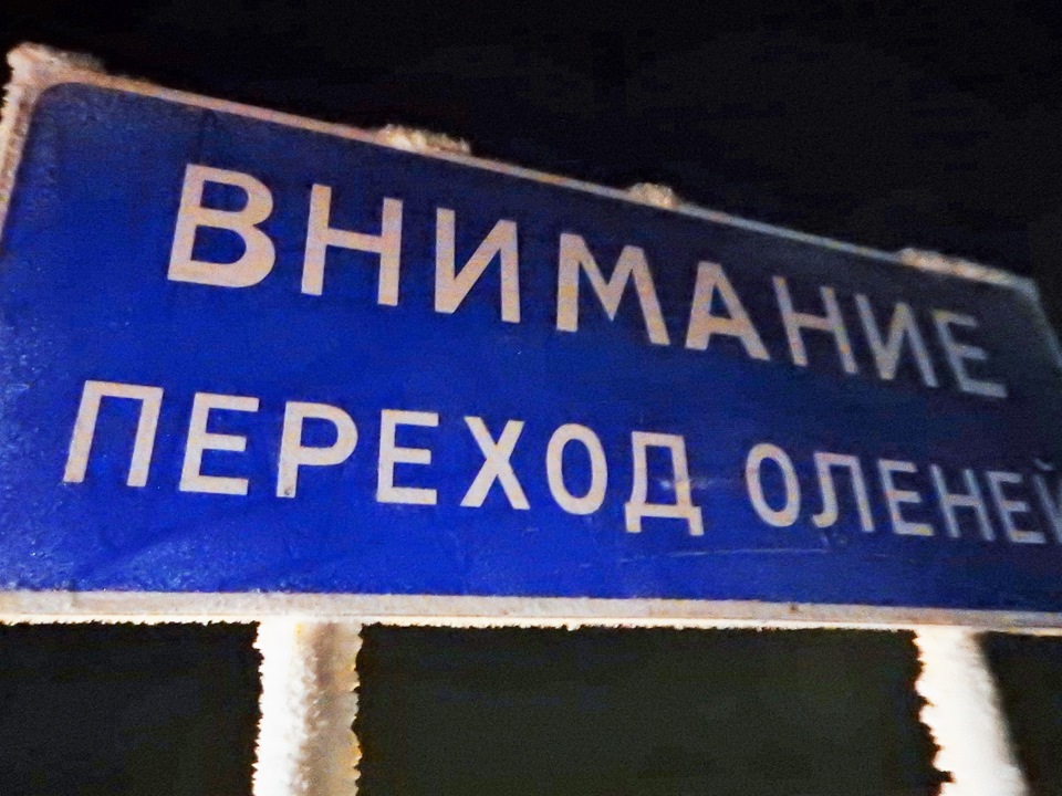 на Запорожце в качестве штурмана