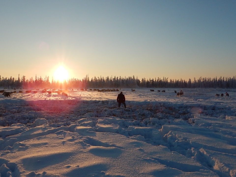 А они врассыпную