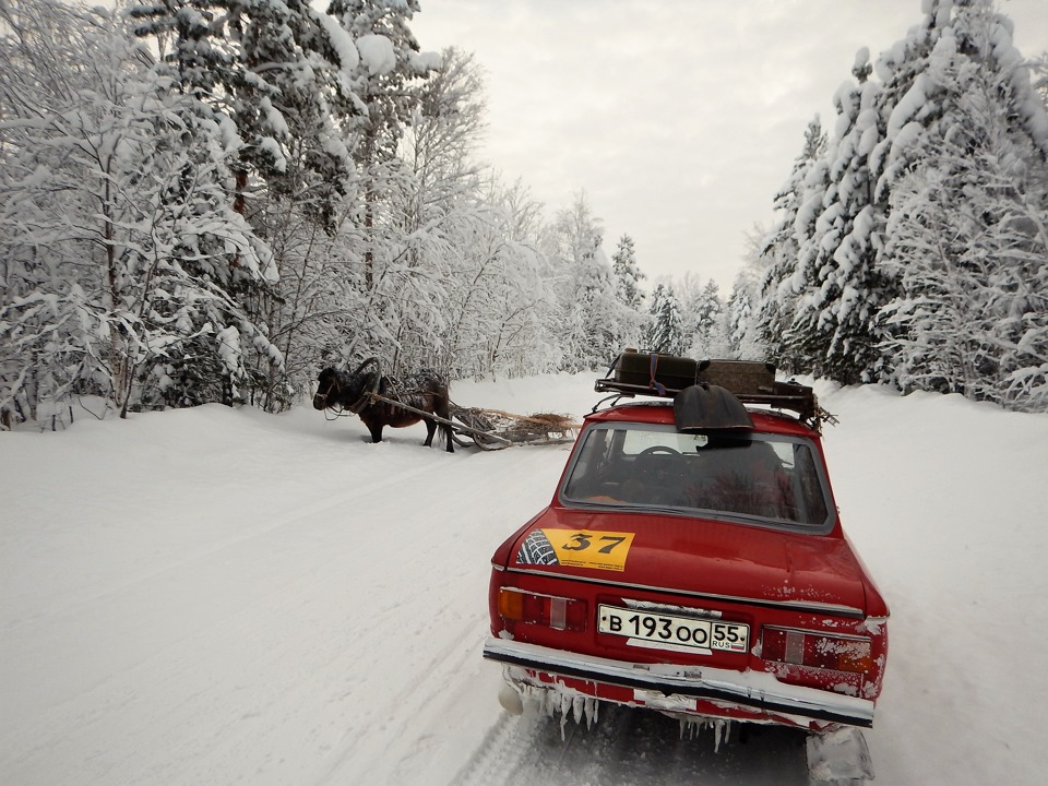 местными жителями на зимниках активно используется гужевой транспорт