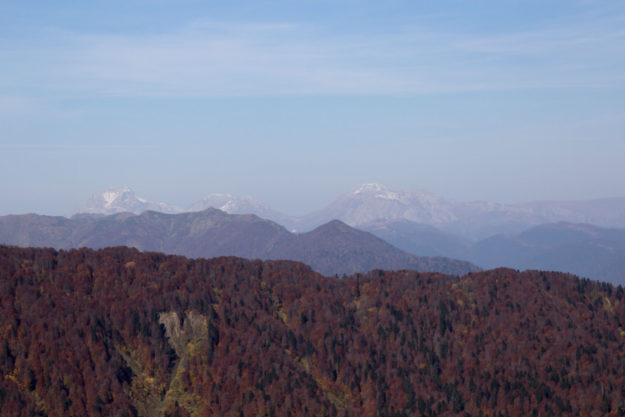 Фишт и Оштен