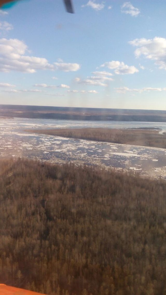 Река Алдан сейчас