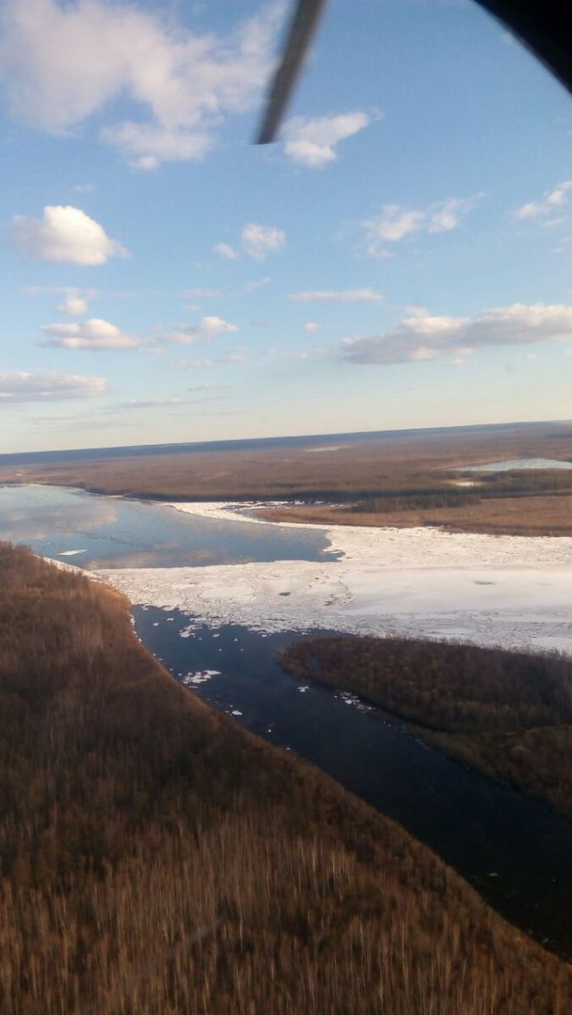 Река Алдан сейчас