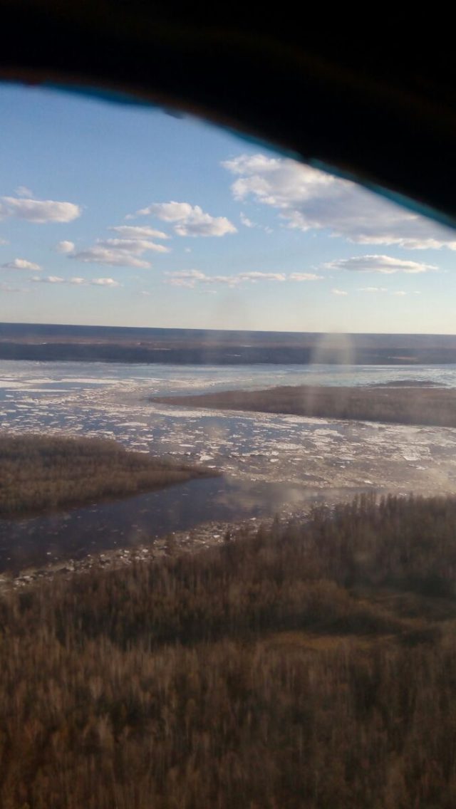 Река Алдан сейчас