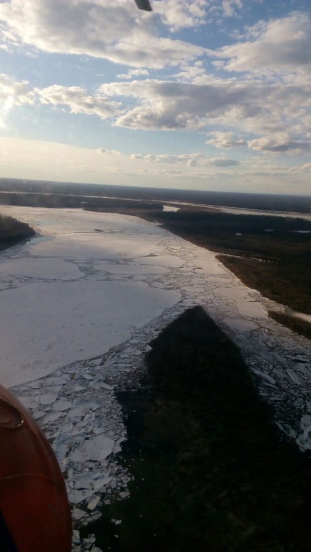 Река Алдан сейчас