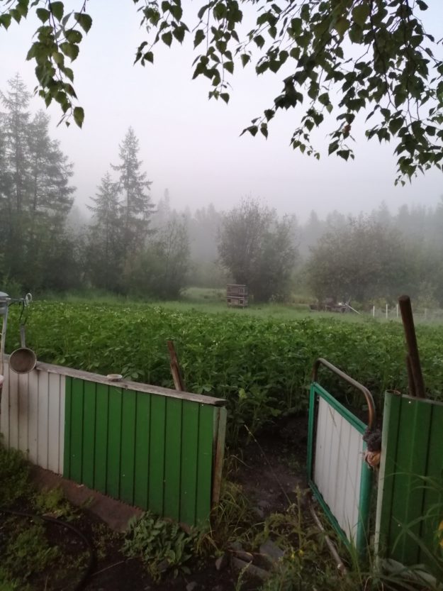 Утро в Тёплом Ключе посёлок Тёплый Ключ