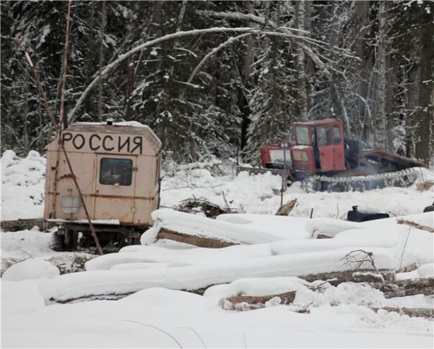 текст моим сыновьям