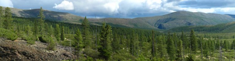 Экспедиция «Лена 2021» — благодарности